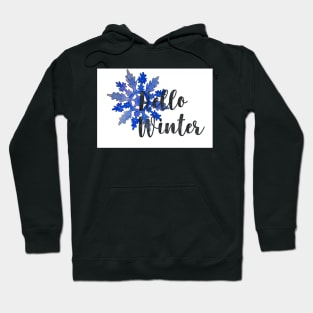 hello winter stickers Hoodie